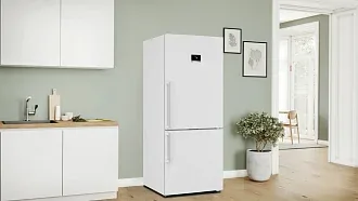 Двухкамерный холодильник Bosch KGP76AWC0N 7
