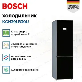 Холодильник Bosch KGN39LB30U 2