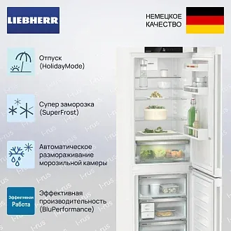 Холодильник Liebherr CBNc 5223 2