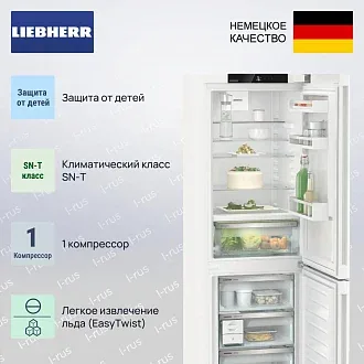 Холодильник Liebherr CBNc 5223 3