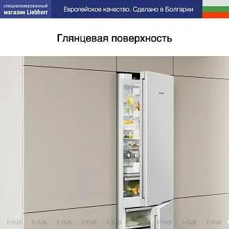 Холодильник Liebherr CBNd 5223 6