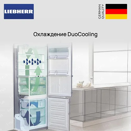 Холодильник Liebherr CBNsfd 5723 31
