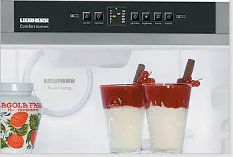 Холодильник Liebherr CBPesf 4033 2