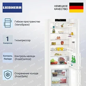 Холодильник Liebherr CN 4015 2