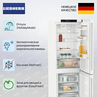 Холодильник Liebherr CNc 5203 2