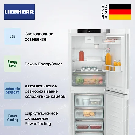Холодильник Liebherr CNd 5204 26