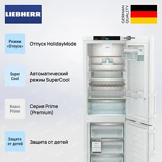 Холодильник Liebherr CNd 5253 2