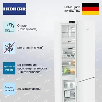 Холодильник Liebherr CNd 7723 2