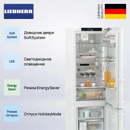 Холодильник Liebherr CNd5753 27