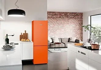 Холодильник Liebherr CNno 4313 6
