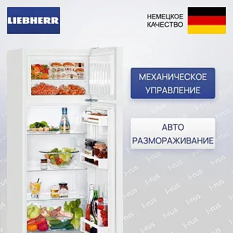Холодильник Liebherr CTe 2531