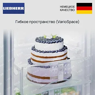 Холодильник Liebherr CTe 2531 4