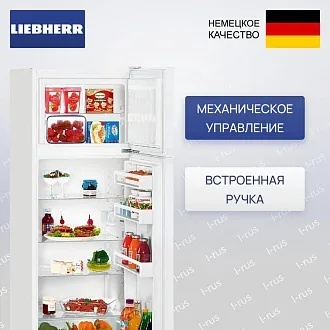 Холодильник Liebherr CTe 2931