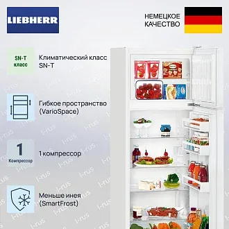 Холодильник Liebherr CTe 2931 2