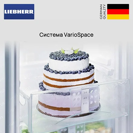 Холодильник Liebherr CTel 2531 22