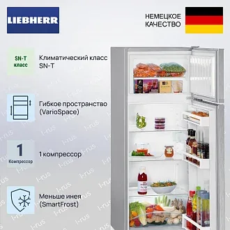 Холодильник Liebherr CTele 2531 2