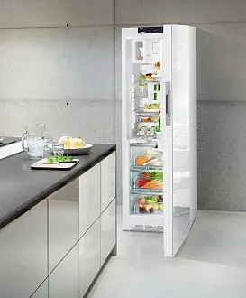 Холодильник Liebherr KBPgw 4354 3