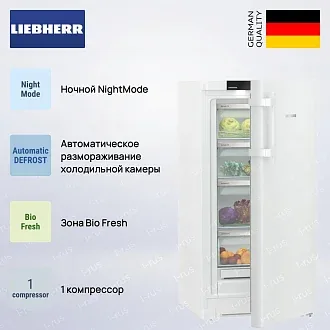 Холодильник Liebherr RBa 4250 3