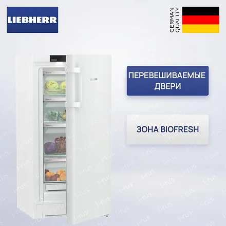 Холодильник Liebherr RBa 4250 17