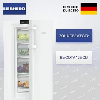 Холодильник Liebherr RBa30 425i