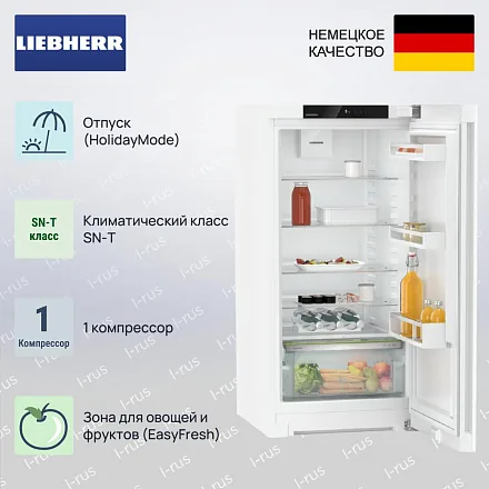 Холодильник Liebherr Rd 4200 Pure 17