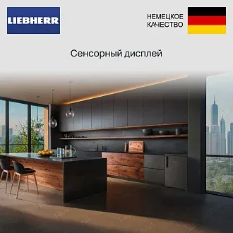 Холодильник Liebherr Rdgd 1400 Pure 3