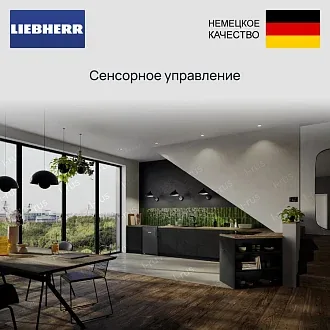 Холодильник Liebherr Rdgd 1401 Pure 4
