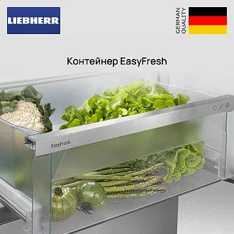 Холодильник Liebherr Rf 5000 5
