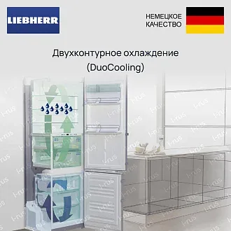 Холодильник Liebherr XRFsf 5240 (SFNsfd 5247 + Srsfd 5220) 5