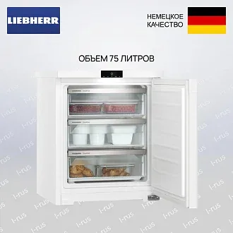 Морозильник Liebherr Fe 1003