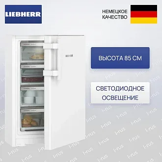 Морозильник Liebherr Fe 1404