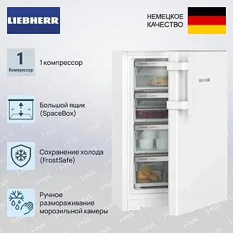 Морозильник Liebherr Fe 1404 3