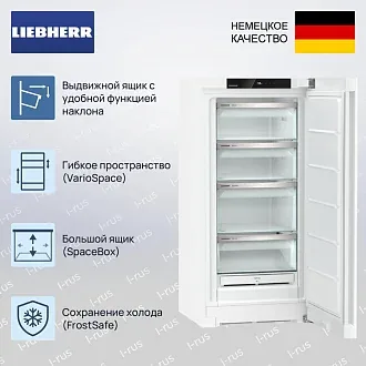 Морозильник Liebherr FNe 4204 2