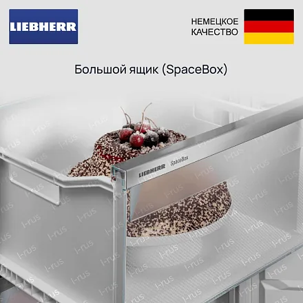 Морозильник Liebherr FNe 4204 30