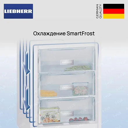 Встраиваемая морозильная камера Liebherr IFe 3904 27