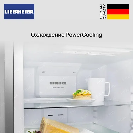 Встраиваемый холодильник Liebherr ECBN 6156 19