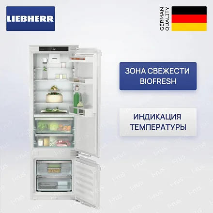 Встраиваемый холодильник Liebherr ICBd 5122 22