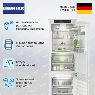 Встраиваемый холодильник Liebherr ICBNbi 5153 3