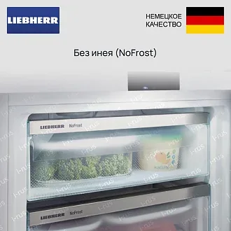 Встраиваемый холодильник Liebherr ICBNd 5653 4