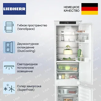Встраиваемый холодильник Liebherr ICBNSd 5623 3