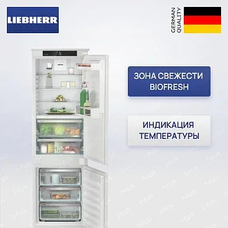 Встраиваемый холодильник Liebherr ICBNSe 5123