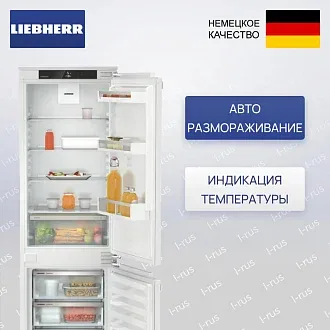 Встраиваемый холодильник Liebherr ICd 5103