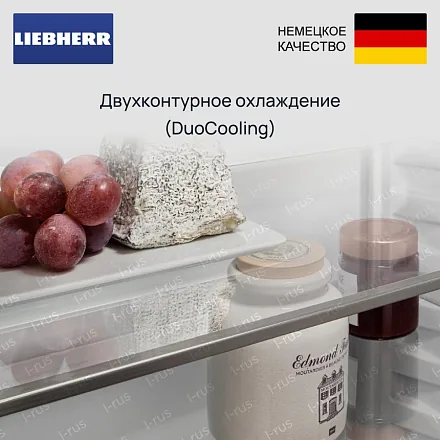 Встраиваемый холодильник Liebherr ICf 5103 26