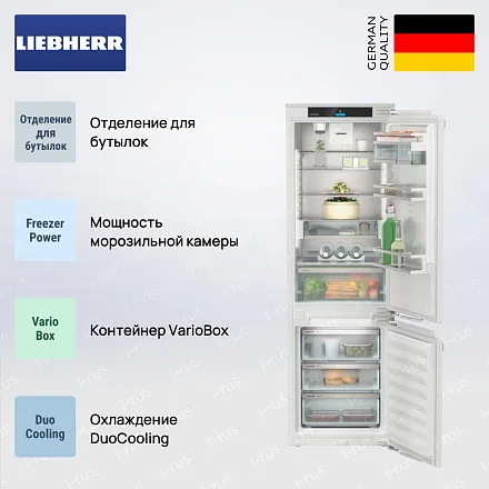 Встраиваемый холодильник Liebherr ICNd 5153 16