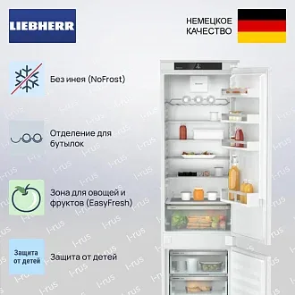 Встраиваемый холодильник Liebherr ICNSd 5603 2