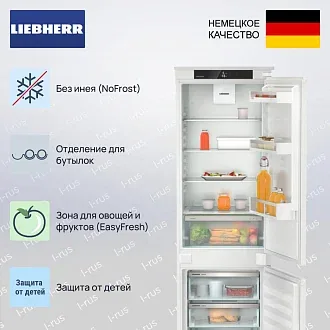 Встраиваемый холодильник Liebherr ICNSe 5103 2