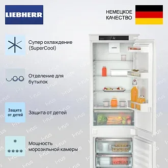 Встраиваемый холодильник Liebherr ICSe 5103 2