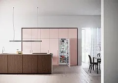 Встраиваемый холодильник Liebherr (IRBd 5180 & SIFNe 5178) 4