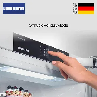 Встраиваемый холодильник Liebherr IXRF 5125 (IRBd 5120 + SIFNe 5128) 5