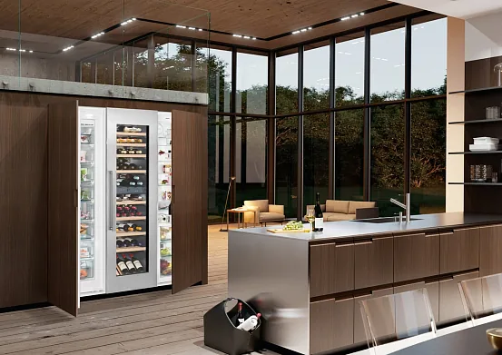 Встраиваемый холодильник Liebherr SBSWdf 99I5 9